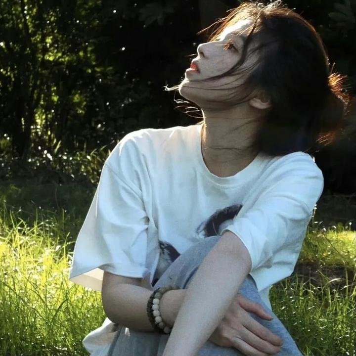 狐狸女士第二季