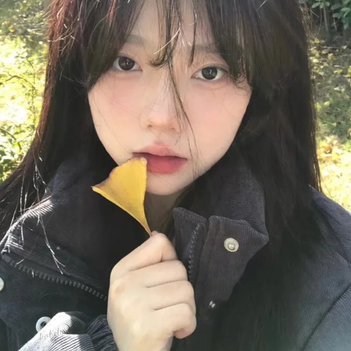 小树的天空